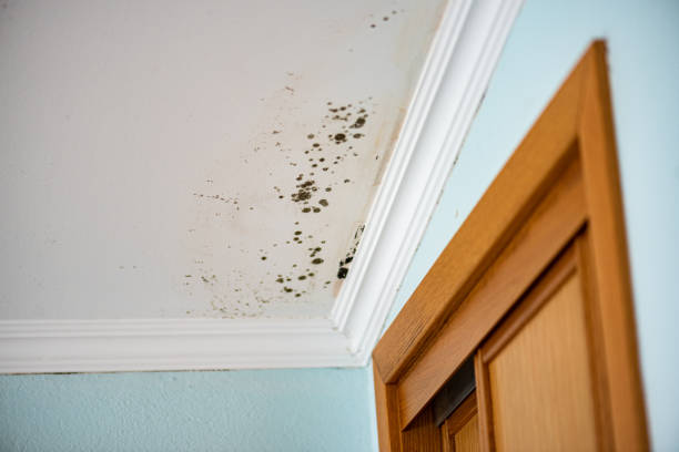 Water Damage Restoration in Janesville, WI