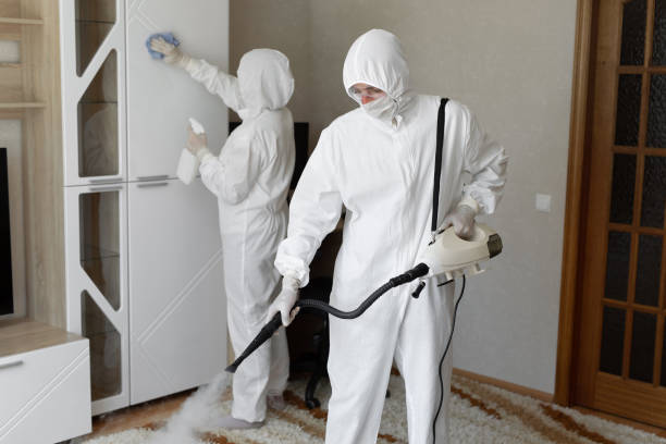 Certified Mold Removal in Janesville, WI