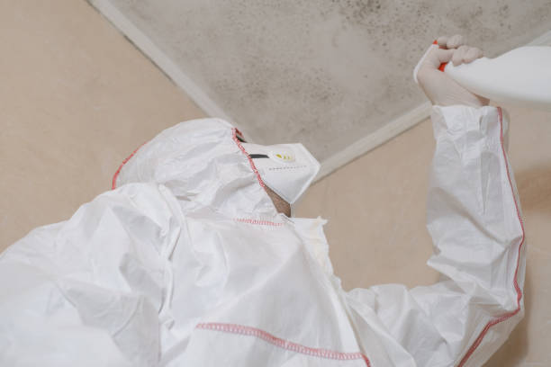 Best Mold Removal Process  in Janesville, WI